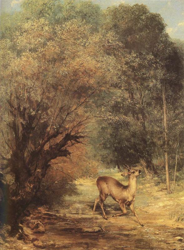 Gustave Courbet Deer Sweden oil painting art